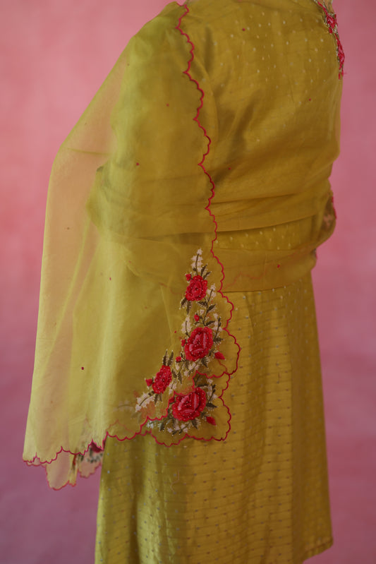 Zaafran Kurta Set