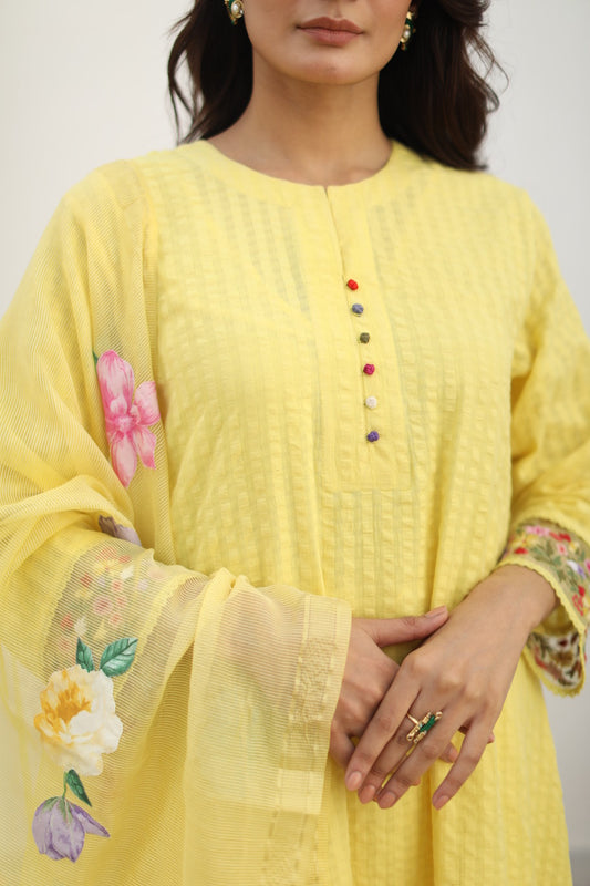 Sharnaaz Kurta Set