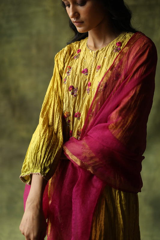 Zeenat Kurta Set