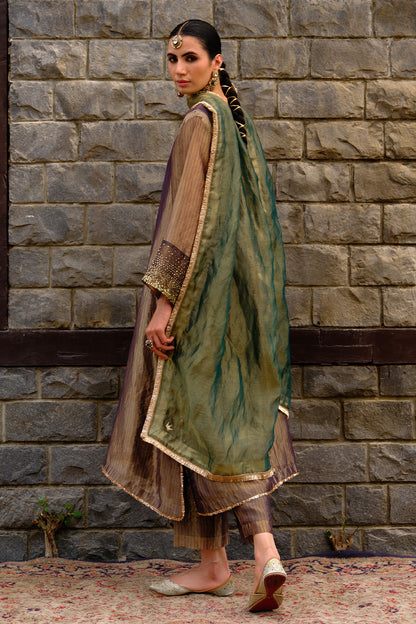 Ziba Kurta Set