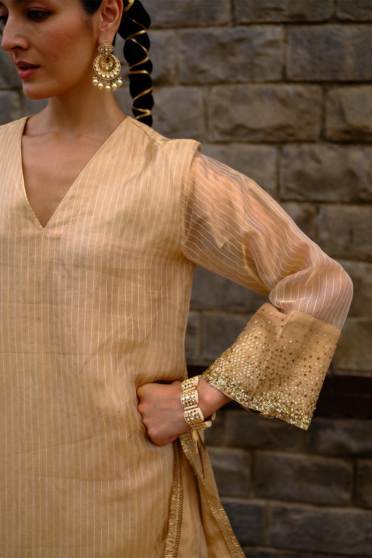 Ziba Kurta Set