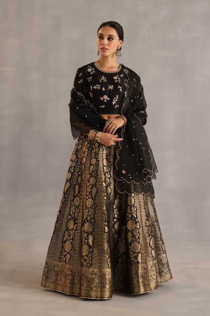 Malhar Lehenga