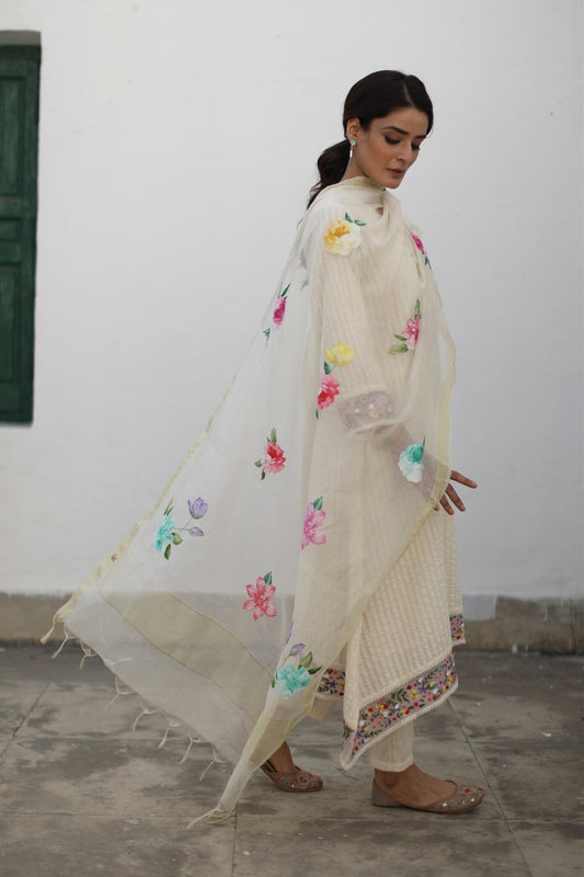Sharnaaz Kurta Set